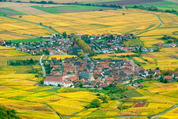 stock image Small village in the middle of autumn vineyards