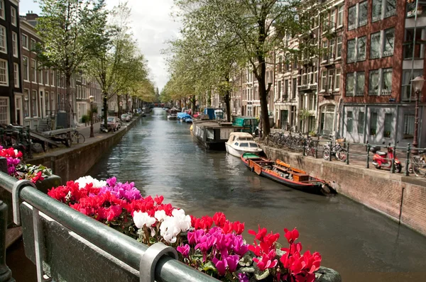 Κανάλι στην ansterdam — Φωτογραφία Αρχείου