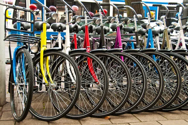 Cyklar uthyres — Stockfoto