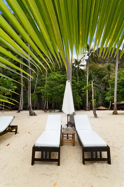 Camas de praia de luxo vazias sob uma palmeira — Fotografia de Stock