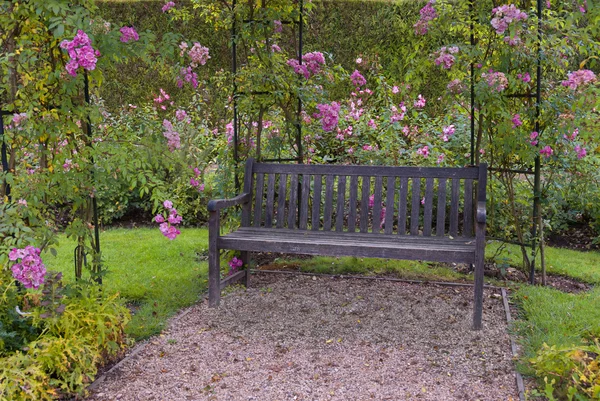 Egy padon, rózsaszín rózsa körül gyönyörű kert — Stock Fotó