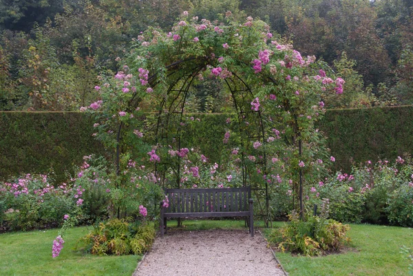 Πάγκο στο το gerden κάτω από το Μπους του ροζ τριαντάφυλλα — Φωτογραφία Αρχείου