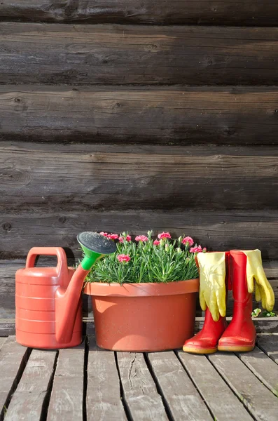 Flower pot, watering can — Stock Photo, Image