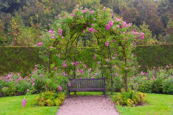 Single bench in the park under pink roses — Stock Photo, Image