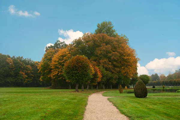 Herfst park witj kleurrijke gekleurde bomen — Stockfoto