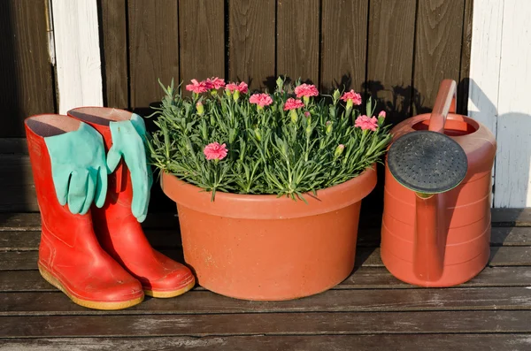 フラワー ポット、水まき缶の園芸工具 — ストック写真