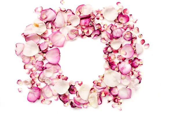 Рамка лепестков роз — стоковое фото