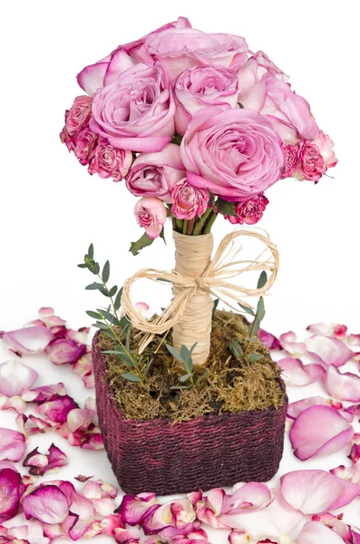 Розовые розы и лепестки — стоковое фото