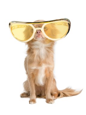 Dog with huge glasses clipart