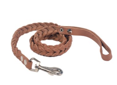 Dog leather leash clipart