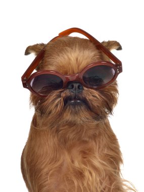 Funny dog with glasses clipart