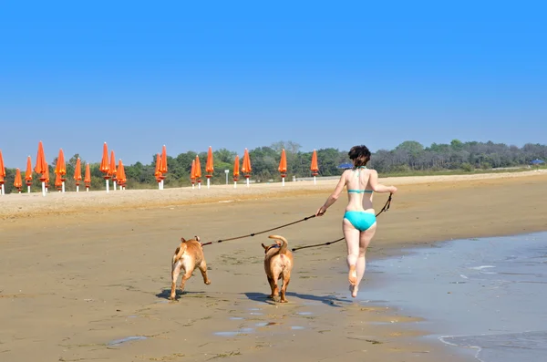 Girl with dogs running on the beach — Stock Photo, Image
