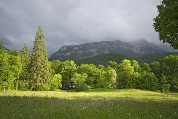 Erdő és a hegyek, az Alpok, bajor — Stock Fotó