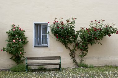 Roses, window and bench, Germany clipart