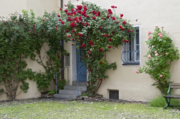 stock image Old town door with rose bushes, Germany