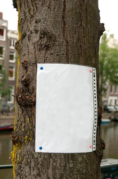 Hoja de papel en blanco clavada al árbol — Foto de Stock