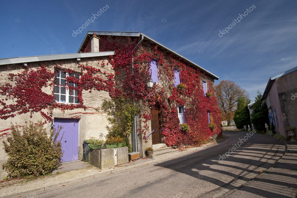 Red creeper plant on wall of little house, France — Stock Photo