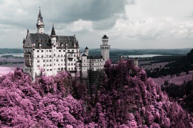 Famous Neuschwanstein Castle, Bavaria, Germany clipart