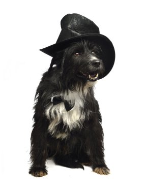 papyon ve silindir şapkalı beyefendi köpekle