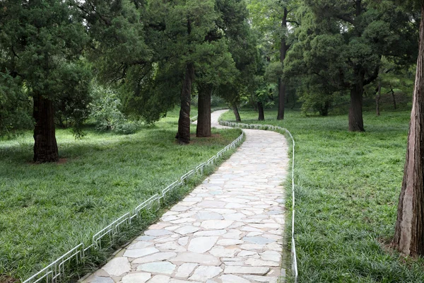 Sendero peatonal en el parque forestal —  Fotos de Stock