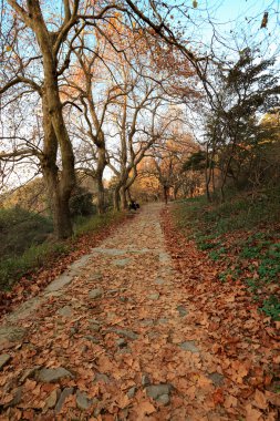 Autumn mountain path clipart
