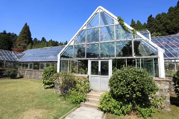 stock image Greenhouse