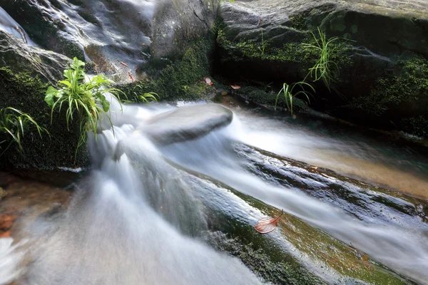 Creek e folhas na pedra — Fotografia de Stock