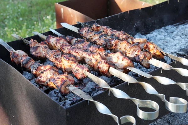 stock image Roasted meat