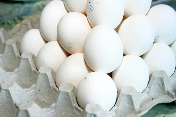 Ovos de chiken — Fotografia de Stock