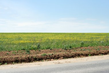 çayır