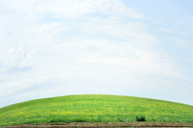 çayır