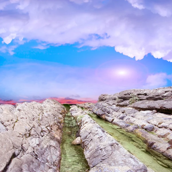 stock image Mountain stream