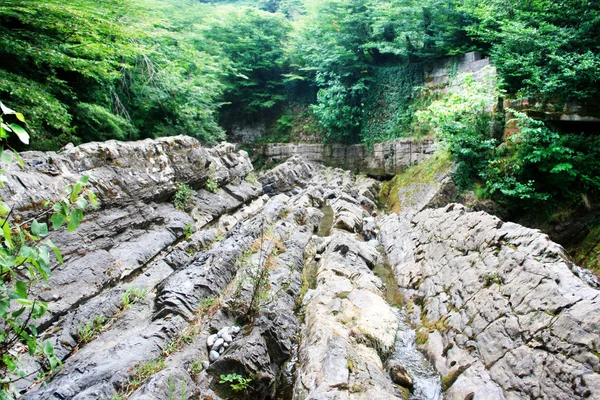 stock image Mountain stream