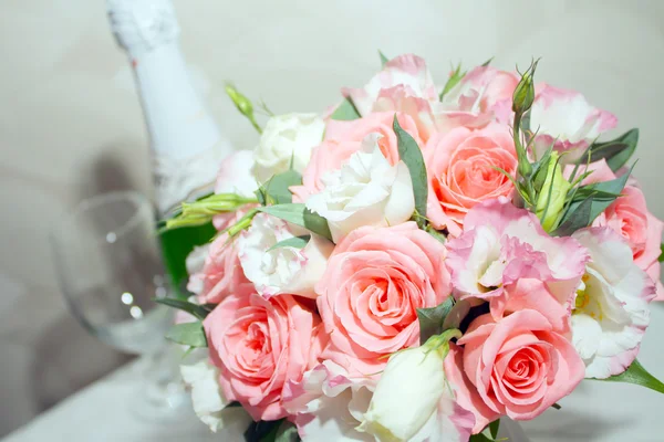 Flowers rose — Stock Photo, Image