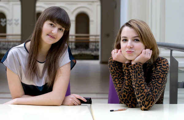 Twee vrouwelijke vrienden, zittend in een café — Stockfoto