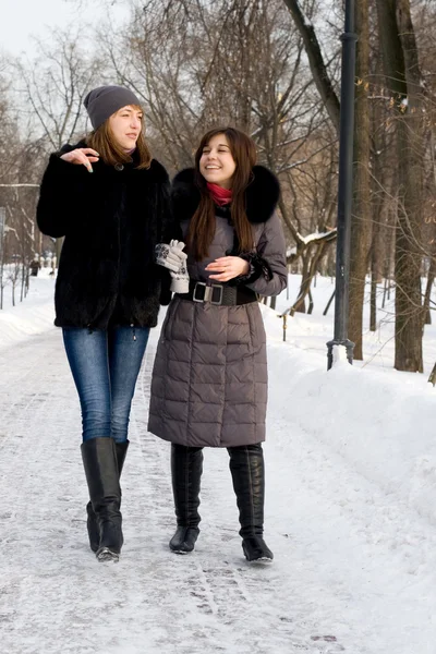Дві жінки друзі ходять в парку — стокове фото