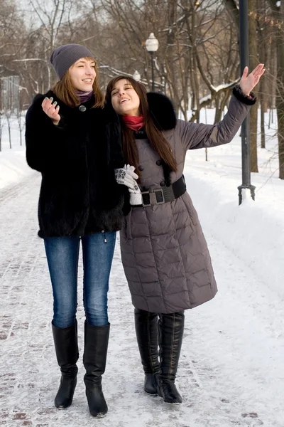 Dvě kamarádky, procházky v parku v zimě — Stock fotografie