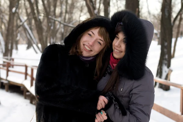 Två kvinnliga vänner, promenader i parken i vinter — Stockfoto