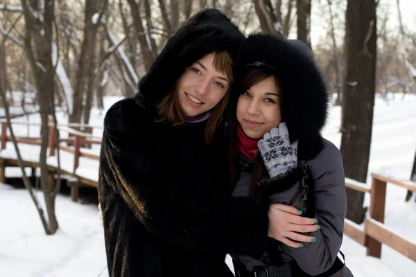 Två kvinnliga vänner, promenader i parken i vinter — Stockfoto