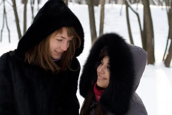 Duas amigas caminhando no parque no inverno — Fotografia de Stock