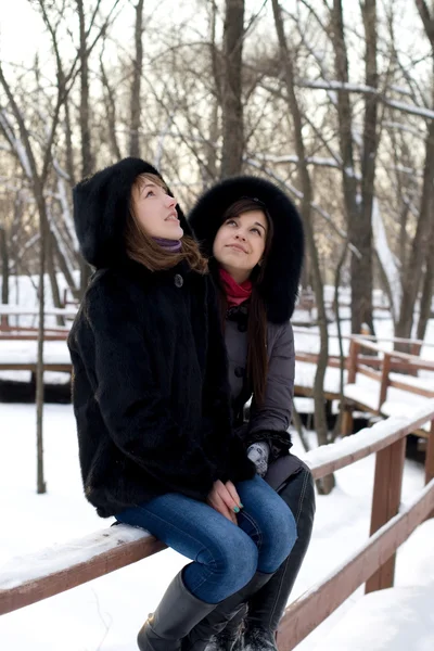 Дві жінки друзі ходять в парку взимку — стокове фото