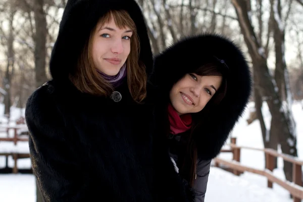 冬の公園を歩いて女性の 2 つの友人 — ストック写真