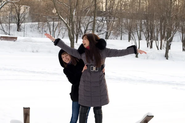 Dwie koleżanki spaceru w parku w zimie — Zdjęcie stockowe