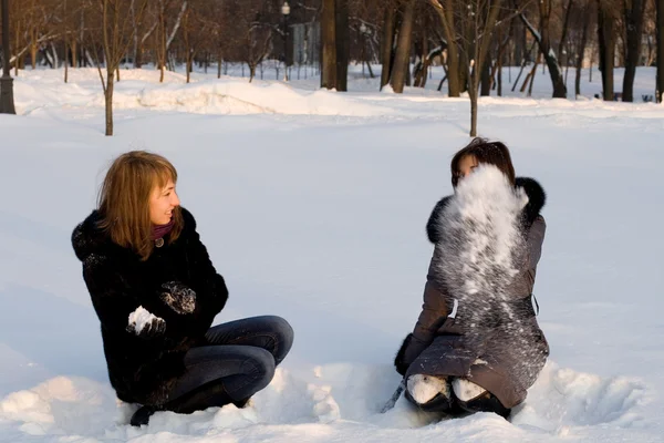 Две подруги, гуляющие в парке зимой — стоковое фото