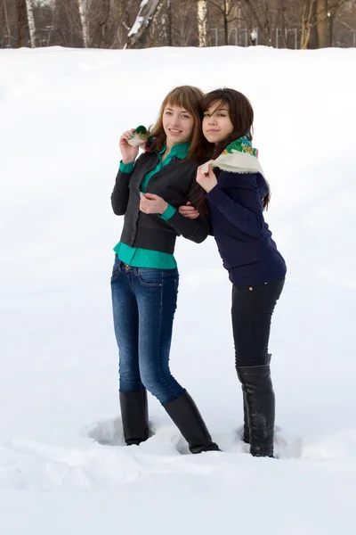 Dos amigas caminando en el parque en invierno — Foto de Stock