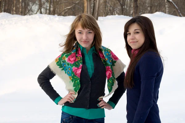 Dwie koleżanki spaceru w parku w zimie — Zdjęcie stockowe