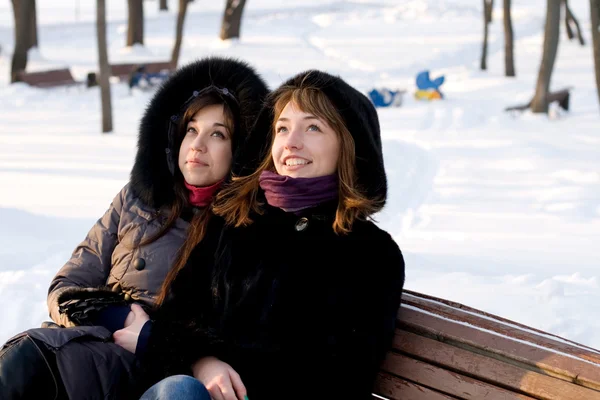 Deux amies marchant dans le parc en hiver — Photo