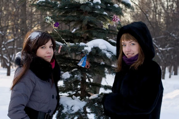 Due amiche che camminano nel parco in inverno — Foto Stock