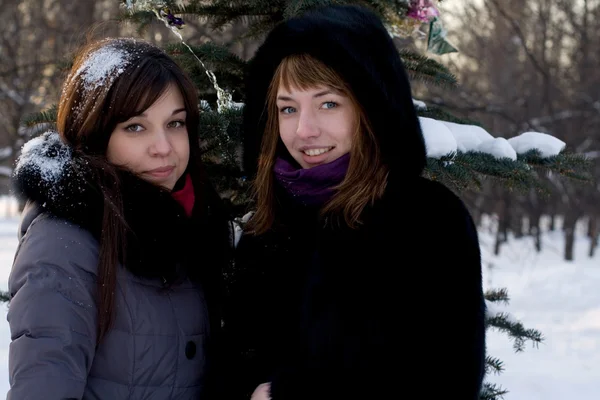 Dua teman perempuan berjalan di taman di musim dingin — Stok Foto