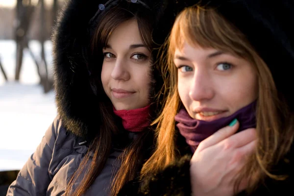 Twee vrouwelijke vrienden wandelen in het park in de winter — Stockfoto